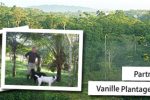 Bio-Vanille Anbau in Costa Rica