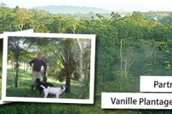 Vanille-Plantage in Costa Rica – Partner gesucht