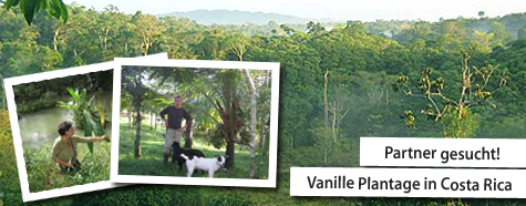 Vanille-Plantage in Costa Rica – Partner gesucht
