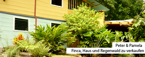 Finca inkl. Regenwald, Haus und Pool in Costa Rica zu verkaufen